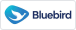 Bluebird